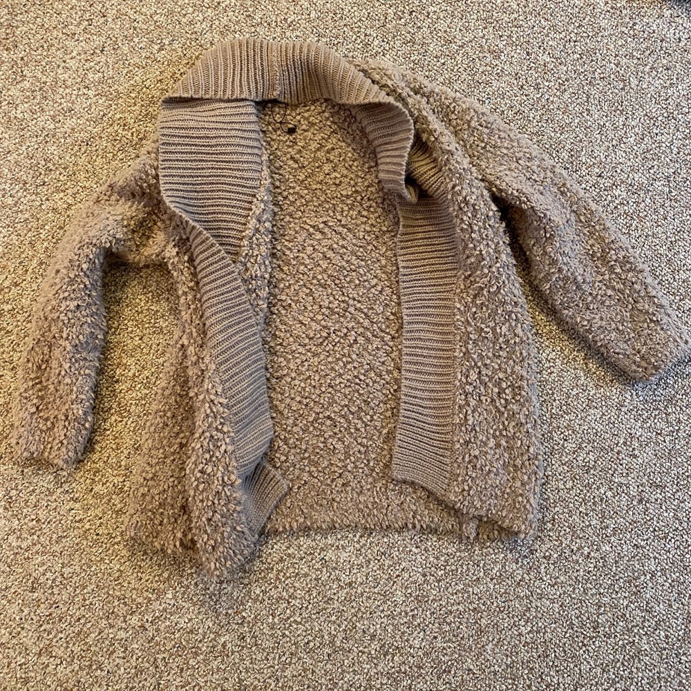 Express Teddy sweater